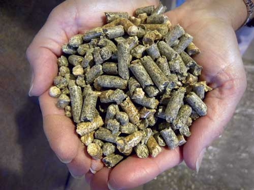 Amerykanie twierdzą, że do produkcji pelletu na rynek europejski wykorzystywany jest pełnowartościowy surowiec (Fot. H&H Technologies)