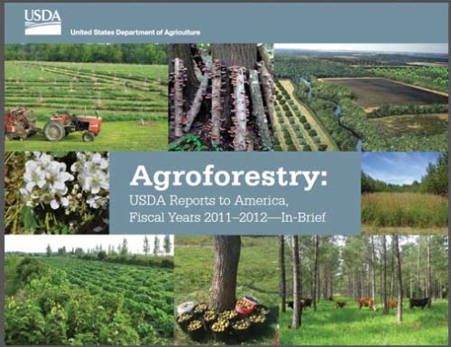 Raport z promocji agroleśnictwa opublikowano po raz pierwszy. Ma on zachęcić do narodowej dyskusji