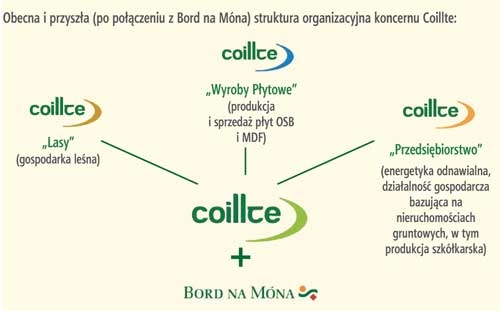 Obecna i przyszła (po połączeniu z Bord na Mona) struktura organizacyjna koncernu Coillte