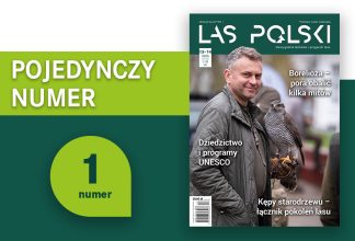 Pojedynczy numer LP - wydanie drukowane